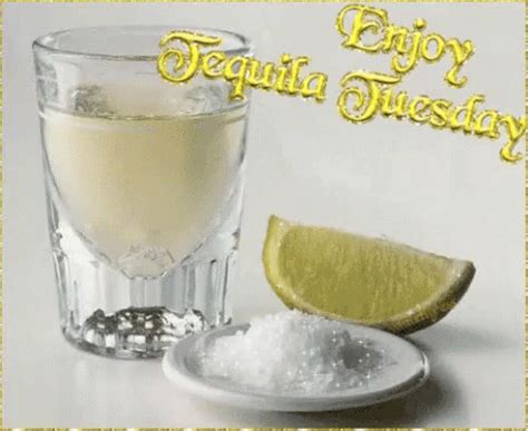 tequila gif|free tequila gif download.